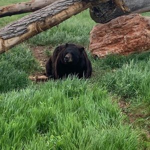 Meet your Posher, Colton